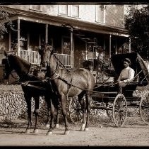 View of Hamilton's horse and buggy in front of the house, Fair Oaks. Man driving is unidentified