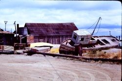 Old beached boats at Bodega or Tomales Bay, 1975