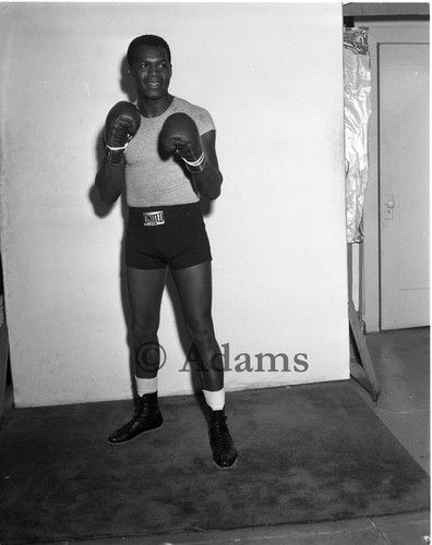 Boxer, Los Angeles, 1964