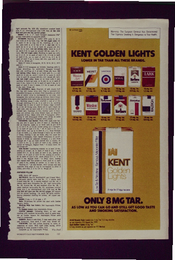 Kent Golden Lights