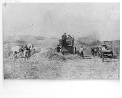 Petaluma Hay Press and crew, Freestone, California, about 1903