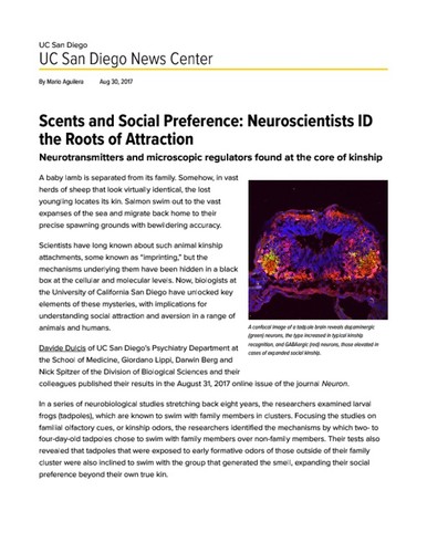 Scents and Social Preference: Neuroscientists ID the Roots of Attraction