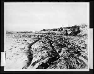 Channel cut through the area southeast of Domiguez Hill by the flooded Los Angeles River, 1914