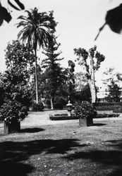 Driveway and grounds at "Mableton"--the McDonald Mansion, McDonald Avenue, Santa Rosa, California, June 1970