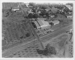 Aerial view of California Poultry, Inc., Fulton, California, 1958