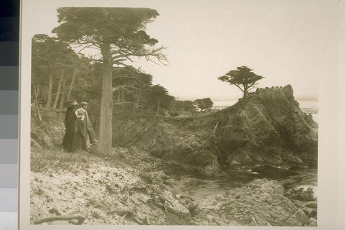 [Unidentified party at coast, 17-mile Drive. Monterey County.]