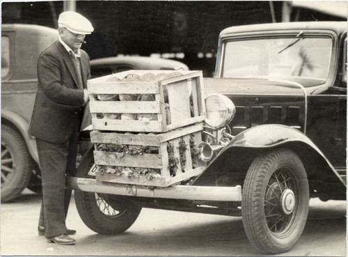 [Man loading crates of produce onto the front of a car during general strike]