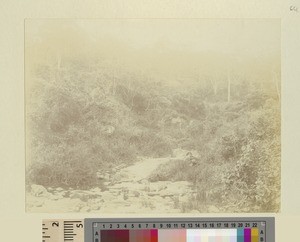 Stream, Kikuyu, Kenya, ca.1901