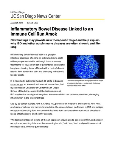 Inflammatory Bowel Disease Linked to an Immune Cell Run Amok