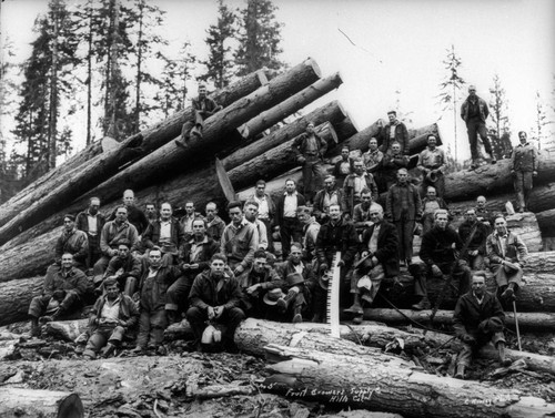 Hilt Lumber Crews