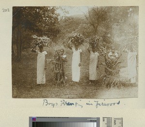 Collecting firewood, Kikuyu, Kenya, ca.1920