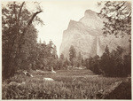[Bridal Veil Falls from the Valley floor, Yosemite], no. 13