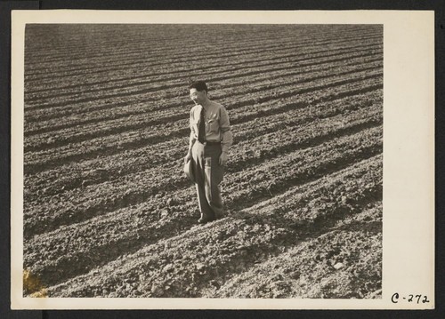 Henry Mitarai, 36, in one of his sugar beet fields on his mechanized farm, prior to evacuation. His payroll on