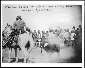 Indian shooting a steer for a beef issue at the Sioux Indian Agency at Pine Ridge, South Dakota