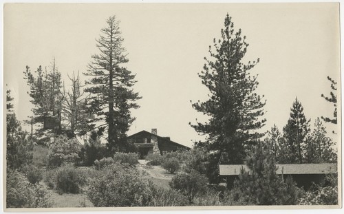 Pine Hills Lodge at a distance