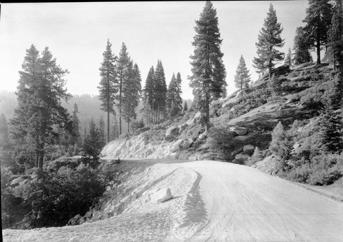 Roads, new Generals Highway. Mixed Coniferous Forest
