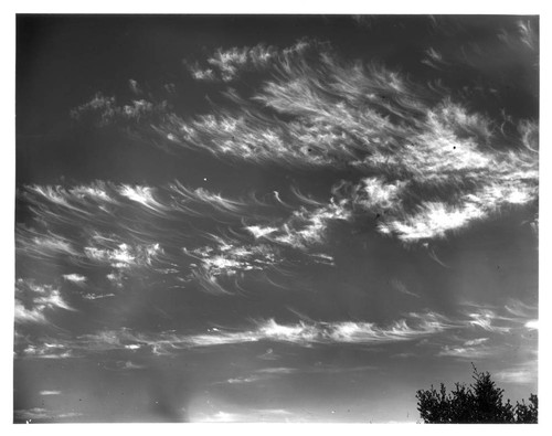 Cirrus clouds as seen from Mount Wilson