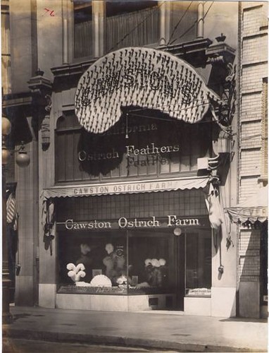 Cawston Ostrich Farm Boutique Storefront, 54 Geary Street, San Francisco, CA