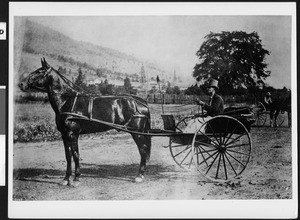 Racing horse attched to a one-man carriage, ca.1900