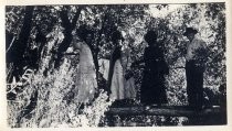 Four people standing on a tree branch in the woods