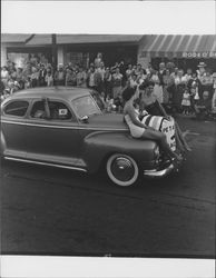 Various groups in the Fourth of July Parade, Petaluma, California, 1955