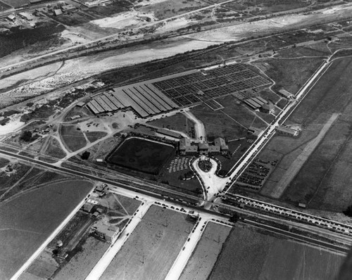 L.A. Union Stockyards, aerial