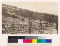 Reproduction of a photograph taken by Ranger Harvey Abby, Lassen County National Forest, in 1916. Looking SE toward Mt. Lassen from the vicinity of the corner to section 1, 12, 6, 7; T. 31 N., Rs. 3 and 4 E Photograph # 202721 by A. E. Weislander, October 1925, shows this same locality 9 years later