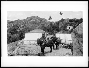 Men with donkeys and tents on Mount Wilson, California, 1887