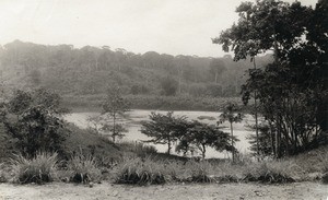 Landscape in Yabassi, in Cameroon