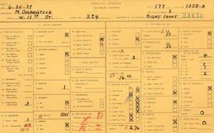 WPA household census for 224 W 11TH, Los Angeles