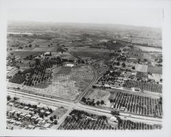 Aerial view of site of Lucky Store at Guerneville Road and Range Ave, Santa Rosa, California, 1962