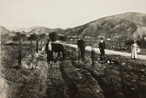 Three unidentified individuals posing with horses along North San Gorgonio Avenue in Banning, California