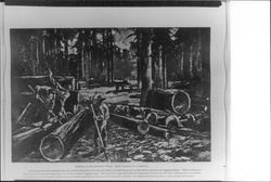Logging in the redwood forest, California, 1888 photograph of a painting by A. Hencke