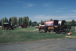 Caravan Stage Company at Sonoma State University, Oct. 1985