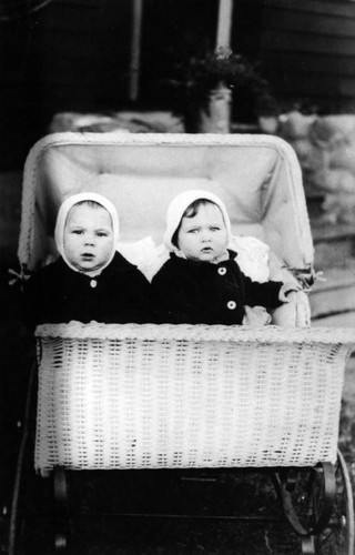 Twins in a baby carriage