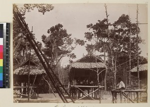 Village with houses built in tree tops Veiburi, near Port Moresby, Papua New Guinea, ca. 1890