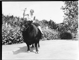 A woman sitting on the back of an ox