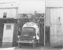 Stanley Anderson loads a Golden Eagle Milling Company truck with bulk feed, Petaluma, California, 1955
