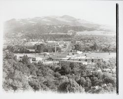 Looking down Farmers Lane from Flamingo Hotel, Santa Rosa, California, 1958