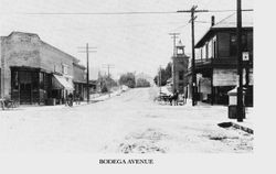 Bodega Avenue in Sebastopol looking west in 1906