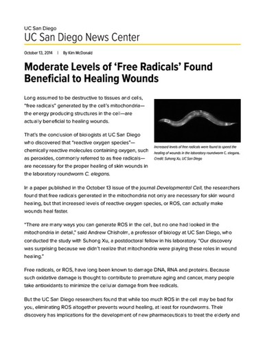 Moderate Levels of ‘Free Radicals’ Found Beneficial to Healing Wounds