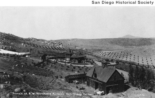 View of the orchards, livestock, barn and house at the S.M. Marshall Ranch