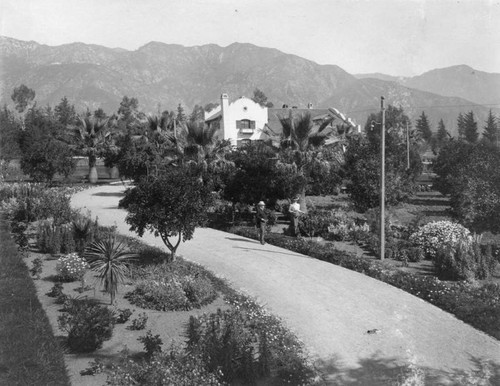 Altadena residence and garden