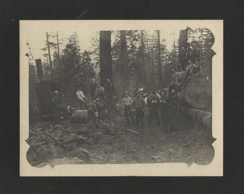 Lumbermen in forest with logs and donkey engine