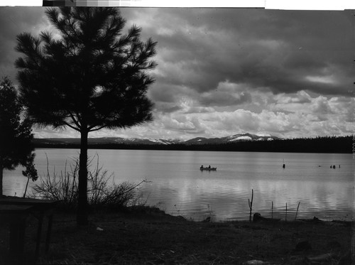 Lake Almanor from Lassen View Camp, Calif