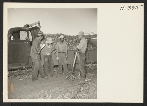 Four of a group of relocatees from the Granada, Heart Mountain, and Rohwer Relocation Centers who harvested the sugar beet