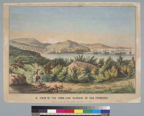 View of the town and harbour of San Francisco [California]