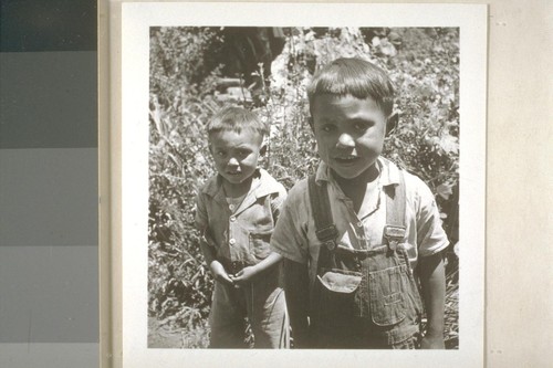 Lopez children, Smith River, Calif. June 18, 1938