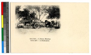 Farm with oxen and covered wagons, India, ca.1920-1940