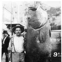 Photographs from Wild Legacy Book. Photograph, "World Record Black Sea Bass, 425 lbs caught by Edward Llewellen, Catalina Island, August 28, 1903"